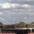 14_45-mast.jpg