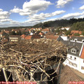 14_45-nest.jpg
