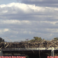 14_50-mast.jpg