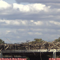 14_55-mast.jpg
