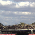 15_00-mast.jpg