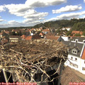 15_00-nest.jpg