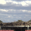 15_05-mast.jpg
