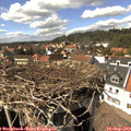15_05-nest.jpg