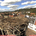 15_10-nest.jpg