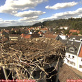 15_15-nest.jpg