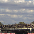 15_20-mast.jpg