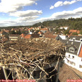 15_20-nest.jpg