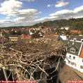 15_25-nest.jpg