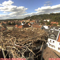 15_30-nest.jpg