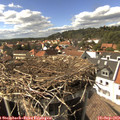 15_35-nest.jpg
