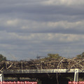 15_40-mast.jpg