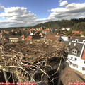 15_40-nest.jpg