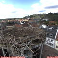 15_45-nest.jpg