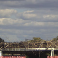 15_55-mast.jpg