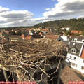 15_55-nest.jpg