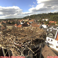 16_00-nest.jpg