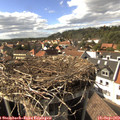 16_05-nest.jpg