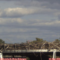 16_10-mast.jpg