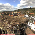 16_10-nest.jpg