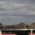 16_15-mast.jpg
