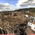16_15-nest.jpg