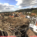 16_20-nest.jpg