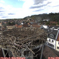 16_25-nest.jpg