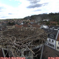 16_30-nest.jpg
