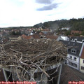 16_35-nest.jpg