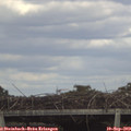 16_40-mast.jpg