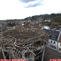 16_40-nest.jpg
