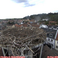 16_45-nest.jpg