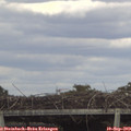 16_50-mast.jpg