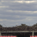 16_55-mast.jpg