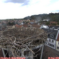 16_55-nest.jpg