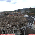 17_05-nest.jpg