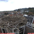 17_10-nest.jpg