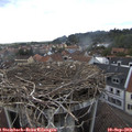 17_15-nest.jpg