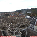 17_20-nest.jpg