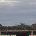 17_25-mast.jpg
