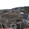 17_25-nest.jpg