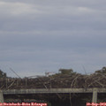 17_30-mast.jpg