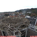 17_40-nest.jpg