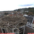 18_00-nest.jpg