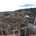 18_05-nest.jpg