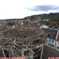 18_10-nest.jpg