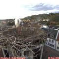 18_30-nest.jpg