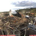 18_35-nest.jpg