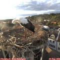 18_45-nest.jpg